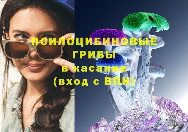 гидра Алзамай